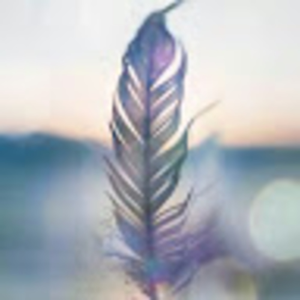 Meet your Posher, Christy